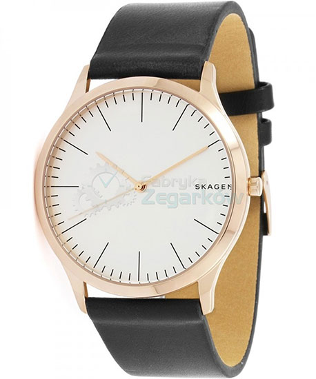 zegarek meski skagen