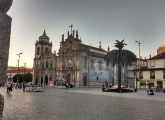 Czy mokra karmę można podgrzać?