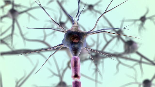 Jak działa sieć neuronowa? Jak działa sieć neuronowa?