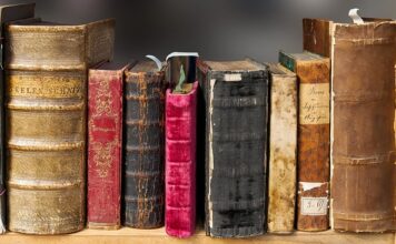 Jaki pokrowiec na deskę do stacji parowej?