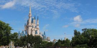 Czy Orlando to dobra firma?