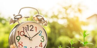 Zarządzanie zasobami i budżetem projektu