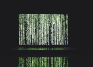 Dlaczego neonki pływają przy dnie?