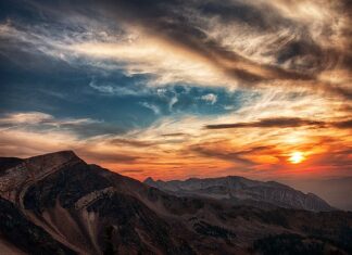 W jakich godzinach światło w akwarium?