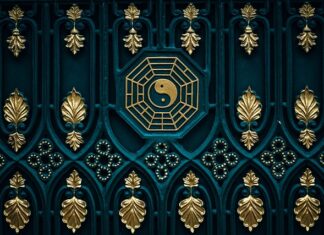 Kiedy karma mokra a kiedy sucha?