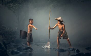 Jak zrobić kryjówki dla ryb?