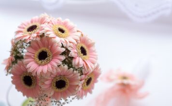 Czy można pić na chrzciny?