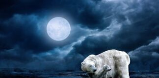 Czy można bronić się nożem?