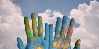 Czy mapy.cz są płatne?