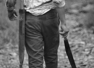 Czy można chodzić z Maczeta po ulicy?