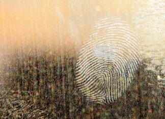 Jaki smar do łożysk w rowerze?