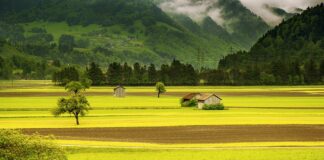 Dlaczego Szwajcaria nie ma stolicy?