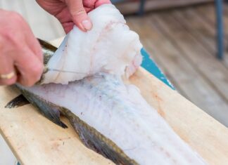 Jaki nóż do filetowania ryb?